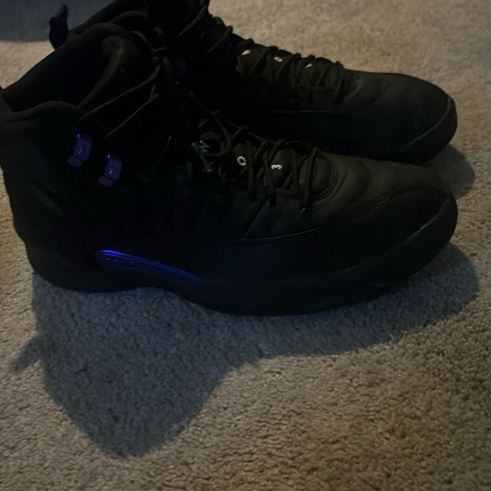 Jordan 12 dark concord